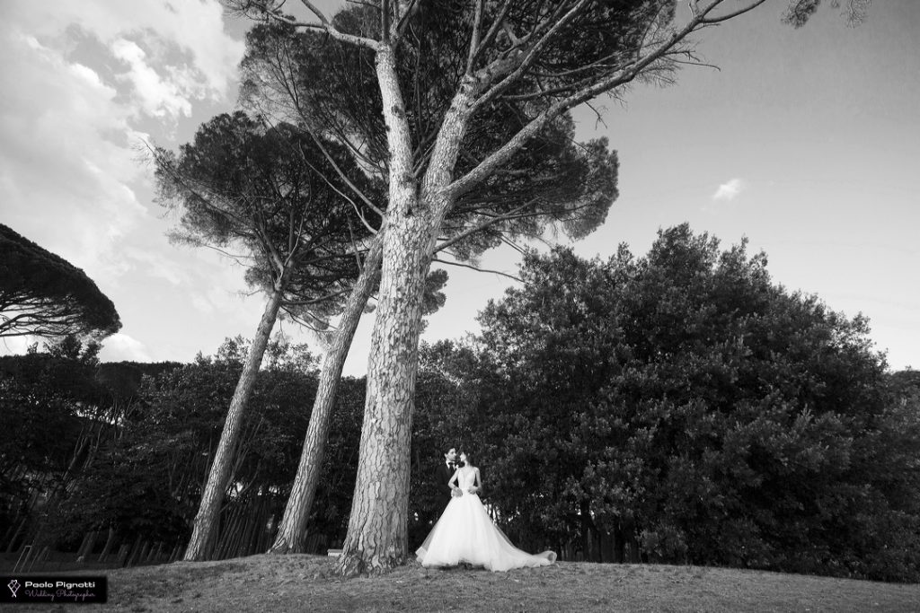 sposi-vicino-albero